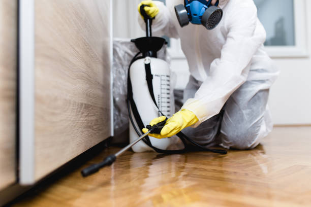 Best Residential Pest Control  in Maiden, NC